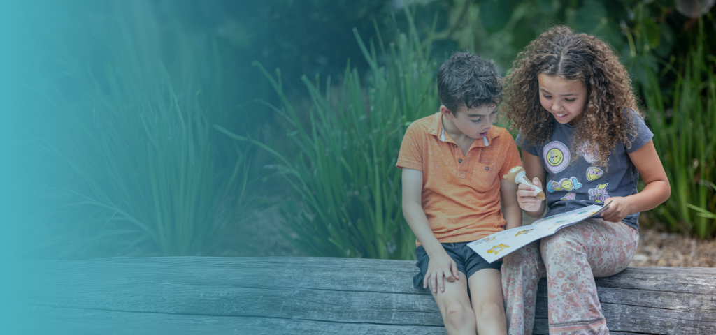 Untitled design (4).png__PID:d6e33784-337b-4014-9cb2-eca7a936704c